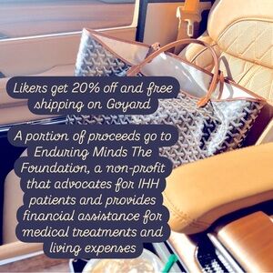 Goyard Chevron Tote in Blue and White